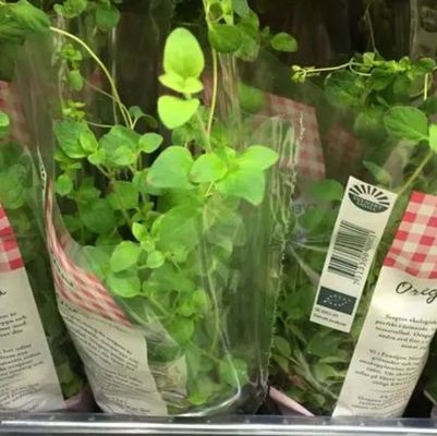 Impressão personalizada de mangas de filme BOPP transparente para embrulho de flores e plantas