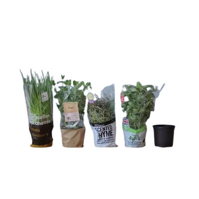 Impressão personalizada de mangas de filme BOPP transparente para embrulho de flores e plantas
