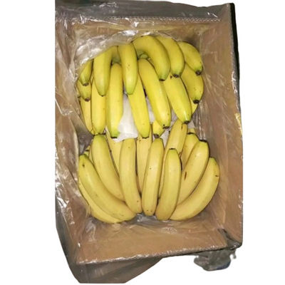 Sacos de plástico de papelão de bananas PE Saco perfurado para frutas